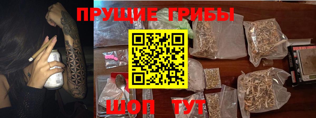 Дмитров  Псилоцибиновые грибы Psilocybe  Вход с VPN 